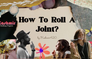 How To Roll a Joint Like A Pro ? Beginner’s Guide Here