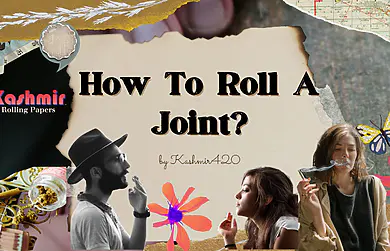 How To Roll a Joint Like A Pro? Beginner’s Guide Here