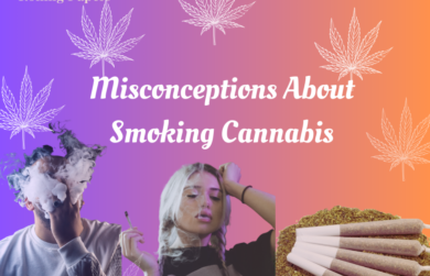 10 Misconceptions About Smoking Cannabis