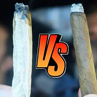joint vs blunt