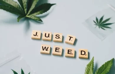 What are the Health Benefits of CBD?