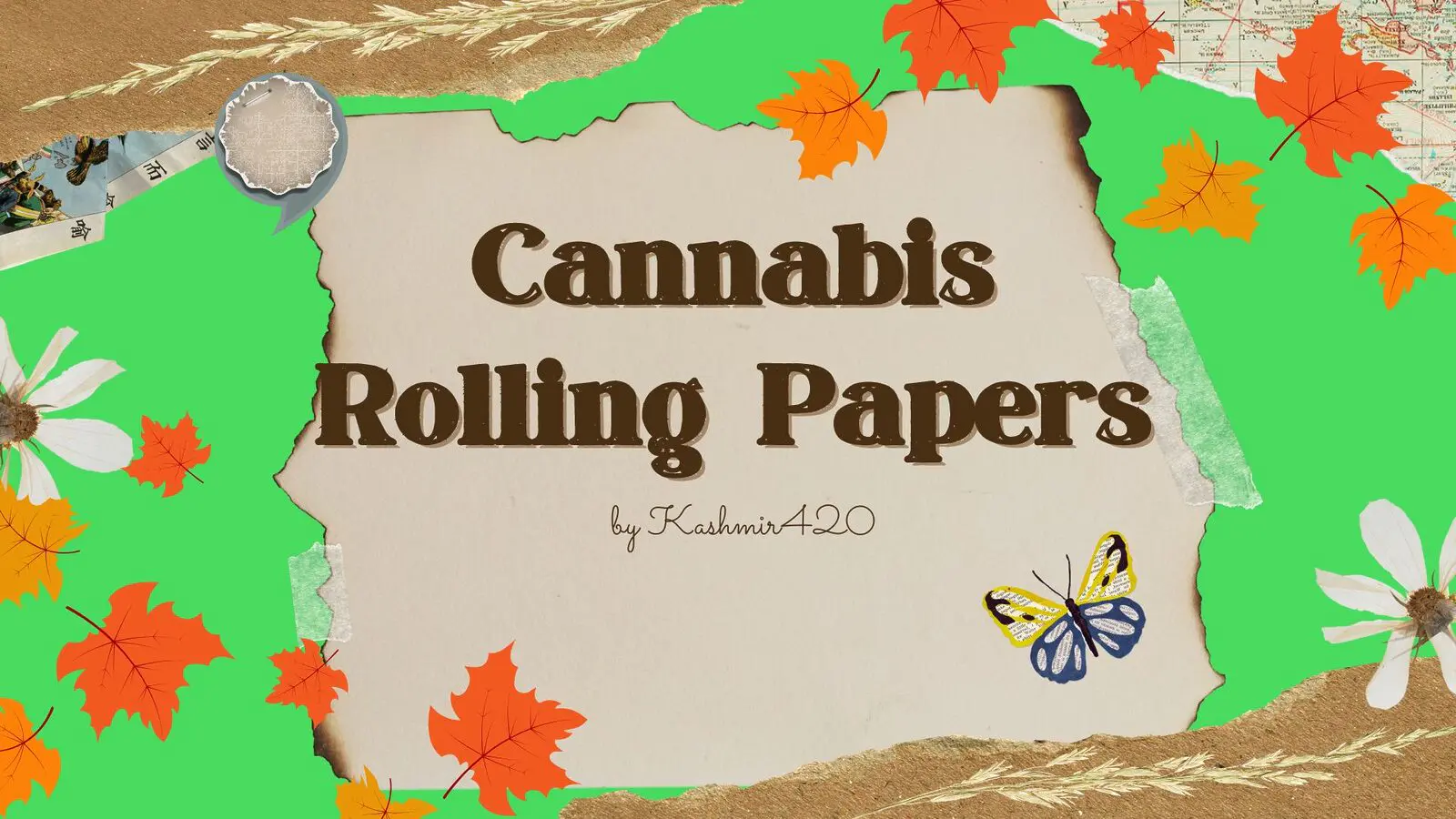 cannabis rolling papers