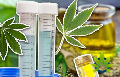 Delta-8: Exploring a Unique Cannabis Compound