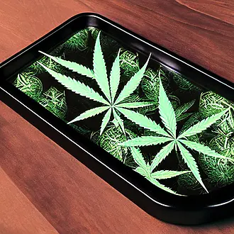 Cannabis Legalization