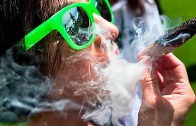 Traditional Fermented Cannabis – Malawi Cob