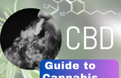 The Ultimate Guide to Cannabis Smoking: Benefits, Accessories, and Devices