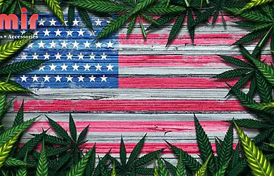 History of Cannabis: A Journey Through Ancient Rituals to Modern Remedies