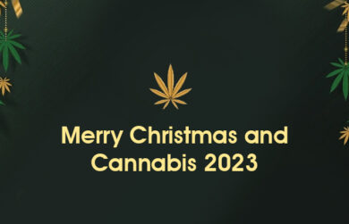 Merry Christmas and Cannabis 2024