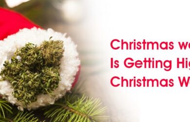 Christmas weed? Is Getting High On Christmas Worth It?