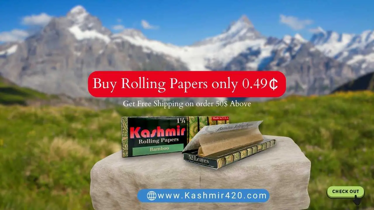 Buy Rolling paper from kashmir420