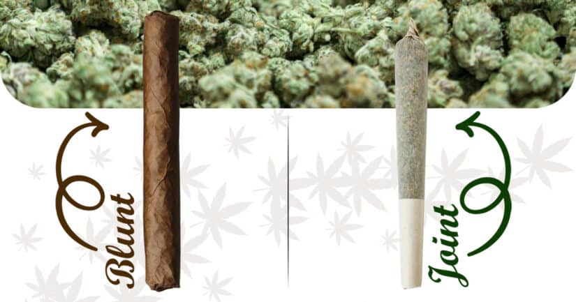 A Rolling own users Guide to Choosing the Perfect Roll: Blunt vs Joint