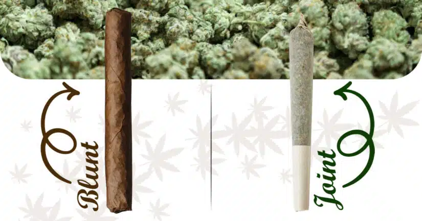 A Rolling own users Guide to Choosing the Perfect Roll: Blunt vs Joint